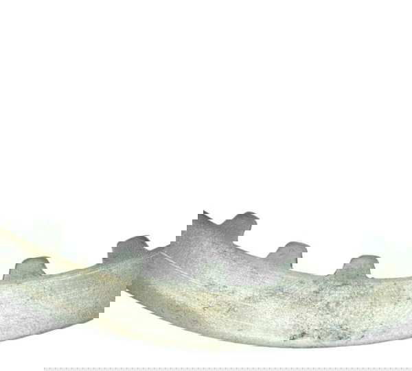 Disco Separador Embreagem Harley 883 Original