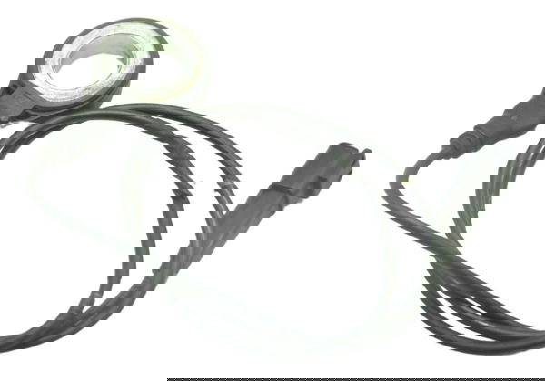 Sensor Abs Traseiro Harley 883 Iron Original