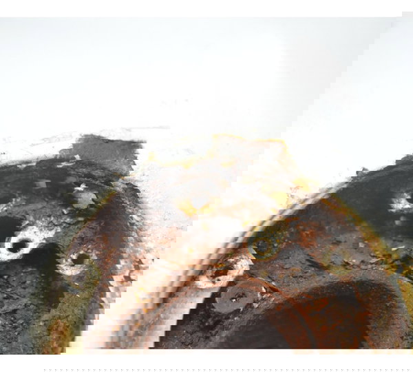 Tanque C/ Avaria Kawasaki Ninja 300 Original