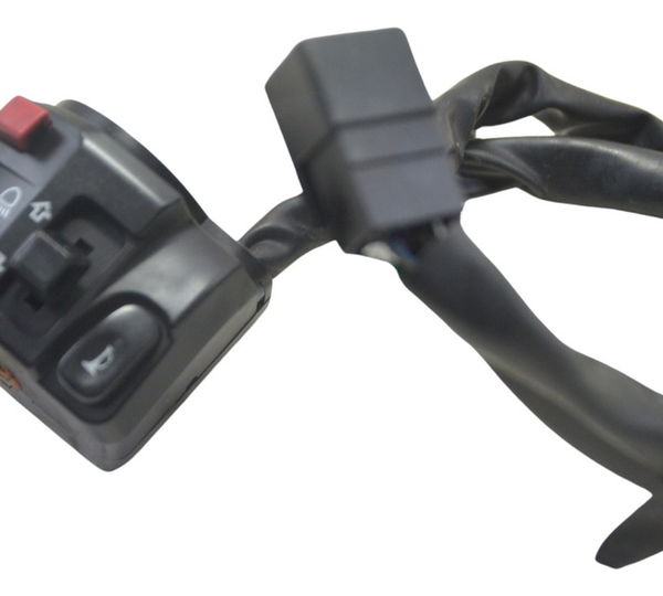 Chave Punho Luz Kawasaki Versys 650 10-14 Original