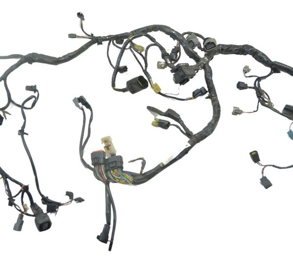 Chicote Principal Kawasaki Versys 650 10-14 Original