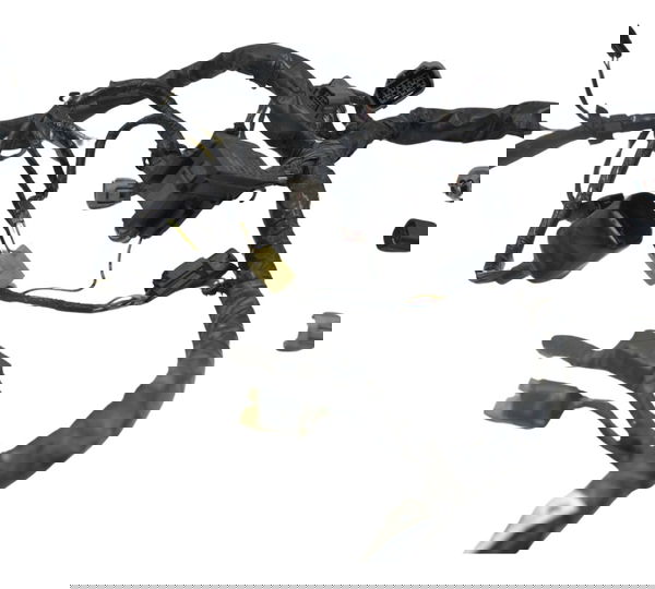 Chicote Principal Kawasaki Versys 650 10-14 Original