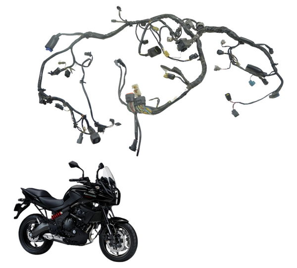 Chicote Principal Kawasaki Versys 650 10-14 Original