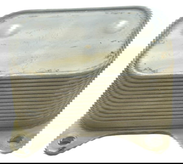 Resfriador Óleo Triumph Tiger 1200 12-17 Ex Original