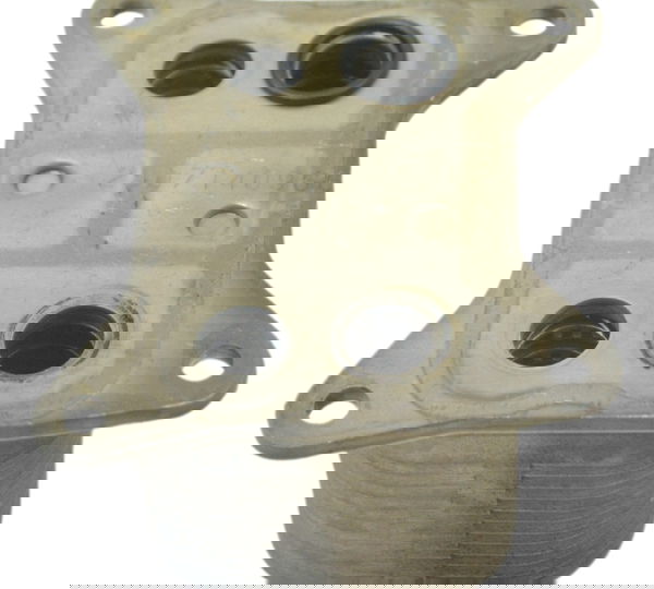 Resfriador Óleo Triumph Tiger 1200 12-17 Ex Original