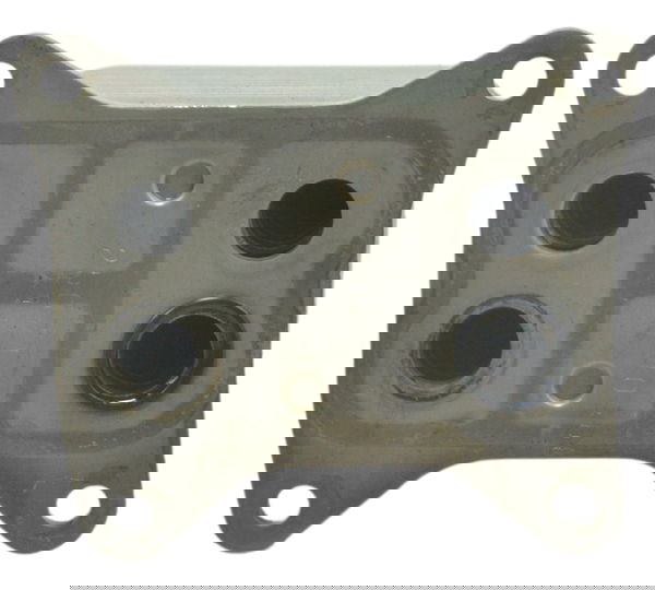 Resfriador Óleo Triumph Tiger 1200 12-17 Ex Original