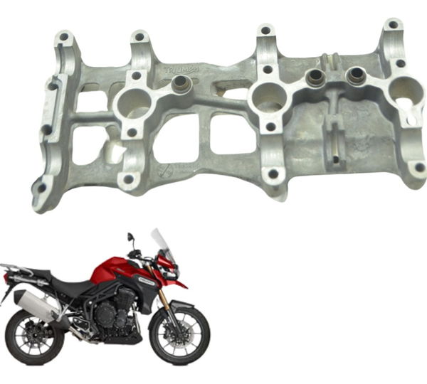 Mancal Cabeçote Triumph Tiger 1200 12-17 Ex Original Cinza