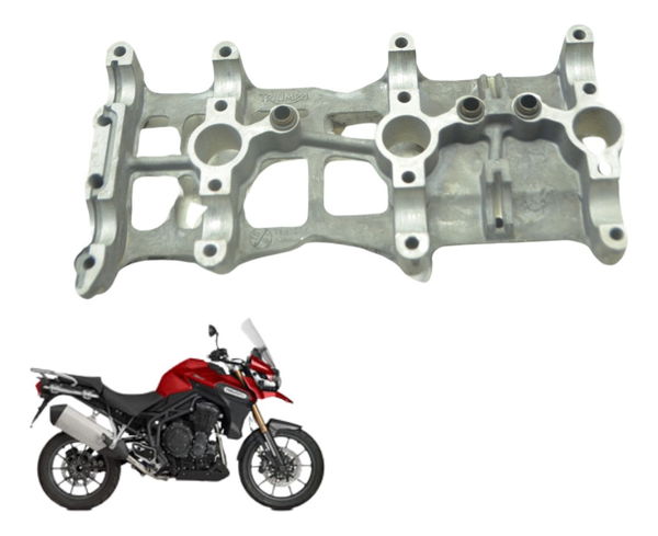 Mancal Cabeçote Triumph Tiger 1200 12-17 Ex Original