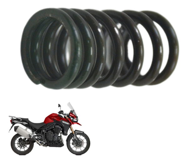 Mola De Válvula Triumph Tiger 1200 12-17 Ex Original
