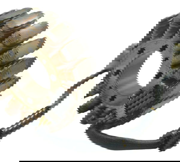 Estator Honda Cbr 600 Rr 03-06 Original