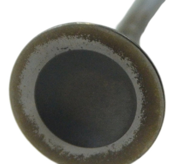 Válvula Escape Bmw K 1600 Gt 11-17 Original