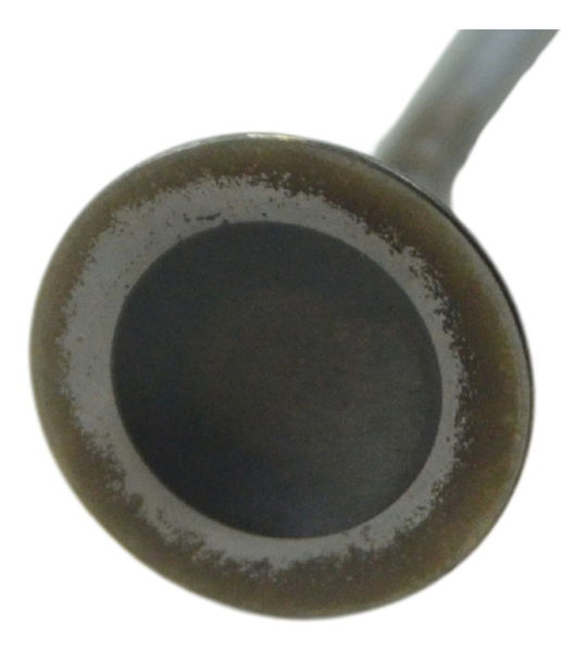 Válvula Escape Bmw K 1600 Gt 11-17 Original