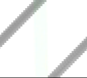 Válvula Admissão Bmw K 1600 Gt 11-17 Original