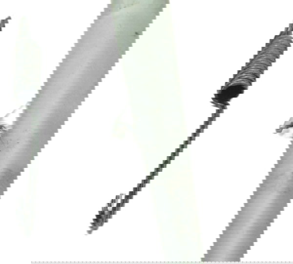 Pedal Descanso Lateral Triumph Daytona 675r 13-16 Original