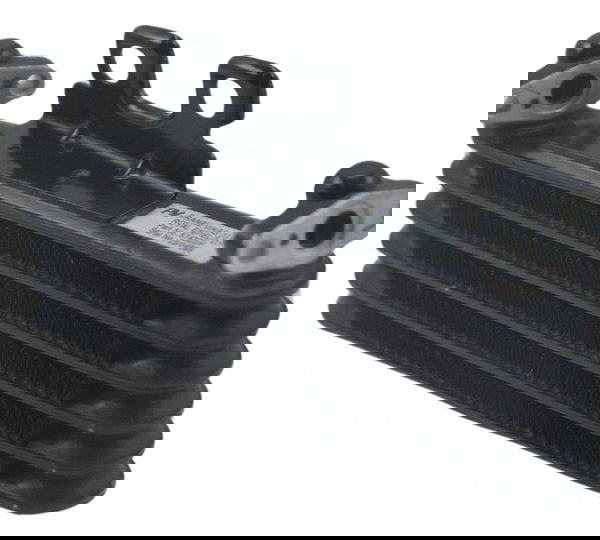 Radiador Óleo Royal Enfield Himalayan 19-23 Original