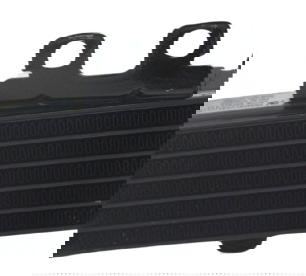 Radiador Óleo Royal Enfield Himalayan 19-23 Original