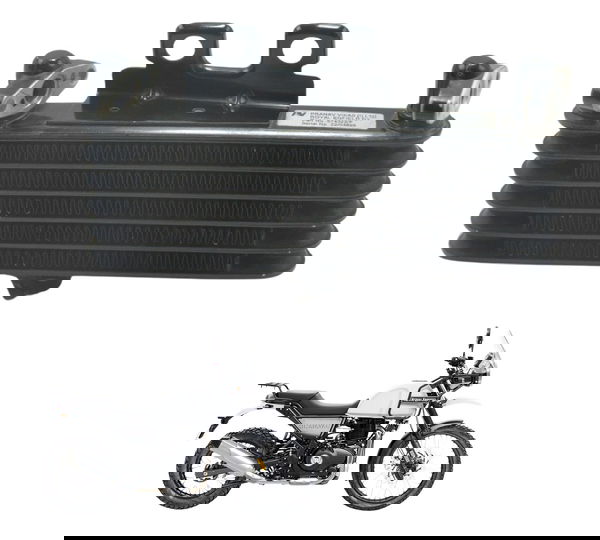 Radiador Óleo Royal Enfield Himalayan 19-23 Original