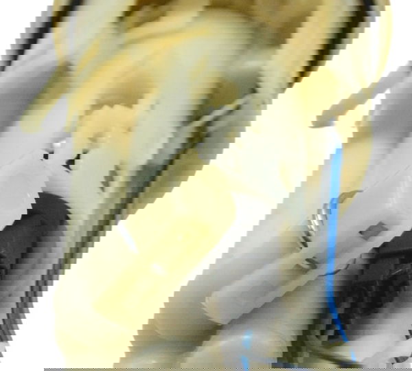 Bomba Combustível Triumph Daytona 675r 13-16 Original