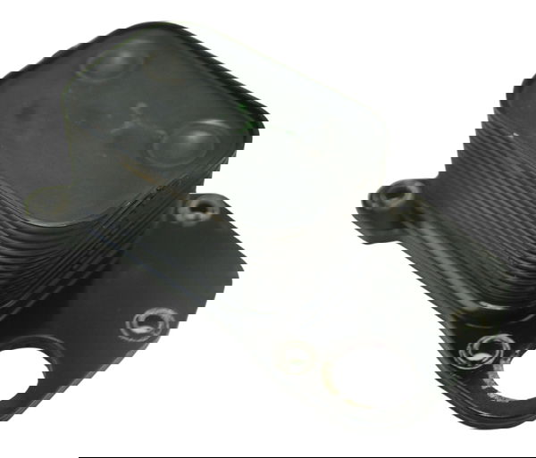 Resfriador De Óleo Triumph Daytona 675r 13-16 Original