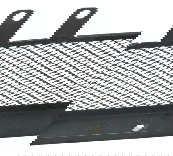 Grade Proteção Radiador Óleo Royal Enfield Himalayan 19-23 Preto