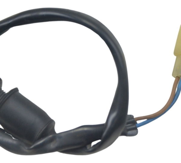 Interruptor Freio Traseiro Kawasaki Zx 10r 10-15 Original