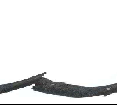 Flexível Abs Dianteiro Kawasaki Zx 10r 10-15 Original