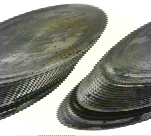 Porca Bengala Harley Electra Glide Touring 17-19 Original