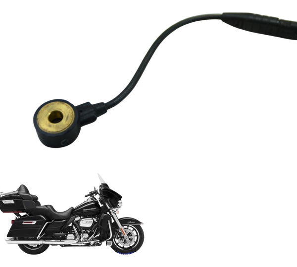 Sensor Detonação Harley Electra Glide Touring 17-19 Original