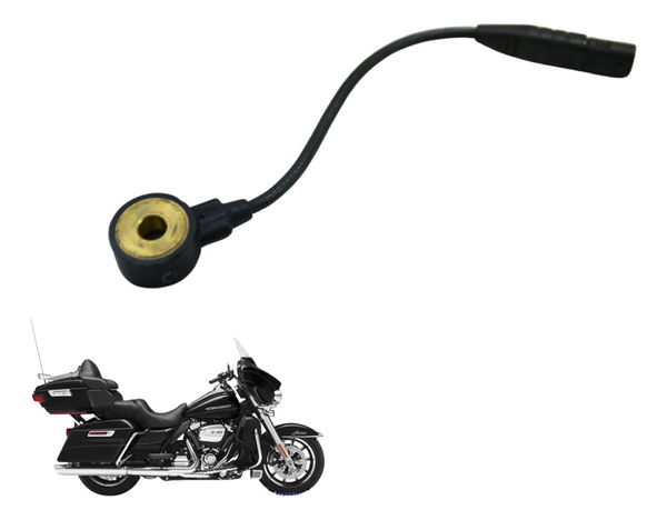 Sensor Detonação Harley Electra Glide Touring 17-19 Original