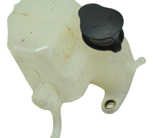 Reservatório Água Harley Electra Glide Touring 17-19 Orig