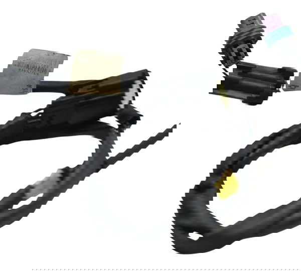 Chicote Bomba Água Harley Electra Glide Touring 17-19 Orig