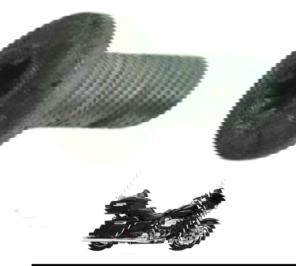 Parafuso Disco Freio Tras Harley Electra Glide Touring 17-19