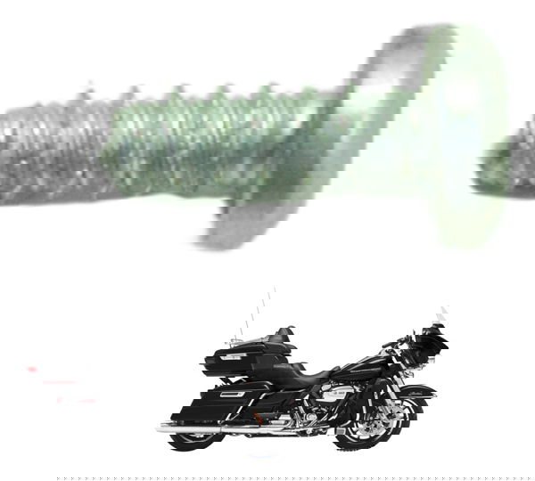 Parafuso Auto Falant Harley Electra Glide Touring 17-19 Orig