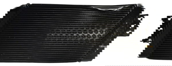 Radiador C/ Avaria Suzuki Boulevard M 800 05-11 Original