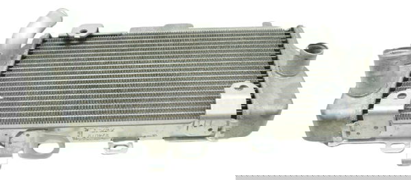 Radiador Esquerdo Honda Crf 1100l África Twin 21-24 Original