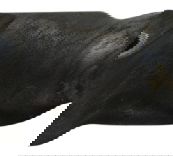 Conexão Água Suzuki Boulevard M 800 05-11 Original