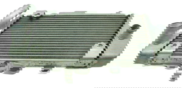 Radiador Esquerdo Honda Crf 1100l África Twin 21-24 Original