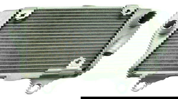 Radiador Esquerdo Honda Crf 1100l África Twin 21-24 Original