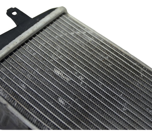 Radiador Direito C/ Avaria Bmw R1250 R 1250 Adv 19-24 Orig