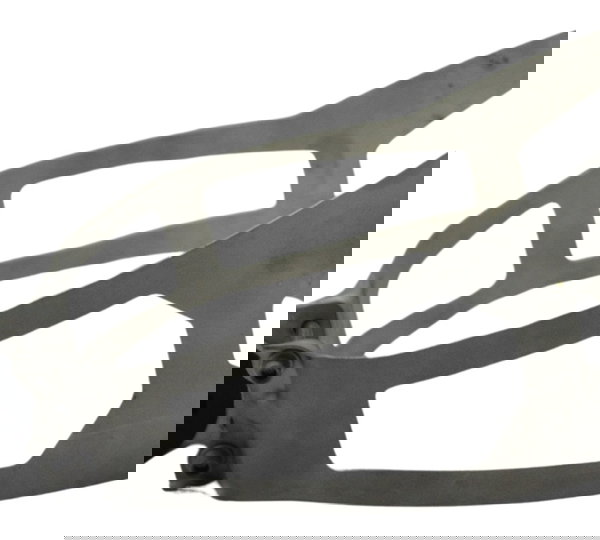 Abraçadeira Escape Bmw R1250 R 1250 Adv 19-24 Original