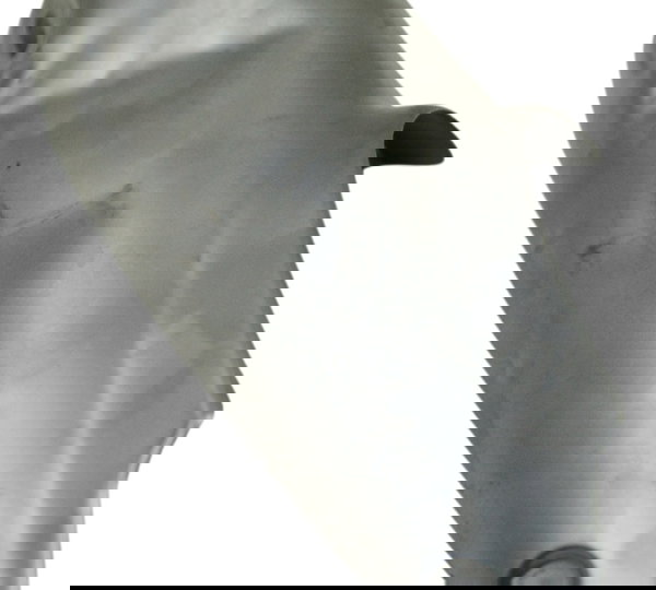 Protetor Escape C/ Avaria Bmw R1250 R 1250 Adv 19-24 Orig