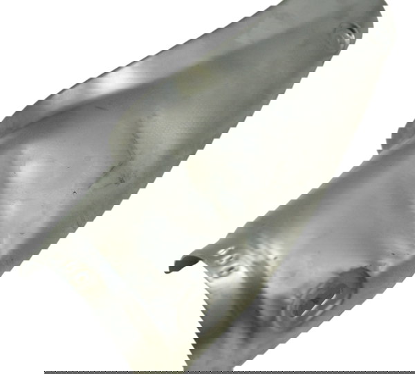 Protetor Escape C/ Avaria Bmw R1250 R 1250 Adv 19-24 Orig