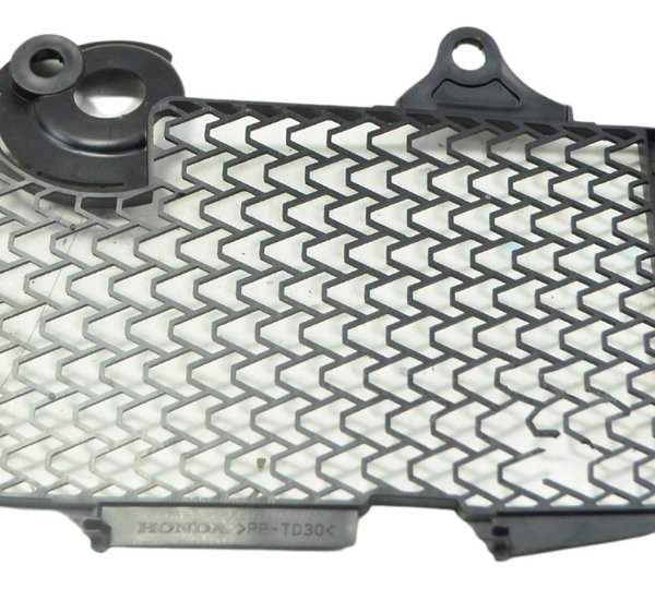 Grade Radiador Dir C/det Honda Crf 1100l África Twin 21-24 Preto