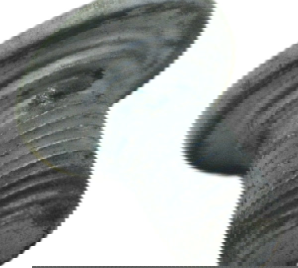 Parafuso Disco Freio Bmw R1250 R 1250 Adv 19-24 Original