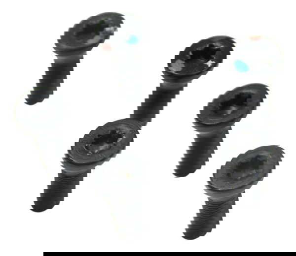 Jogo Parafuso Roda Tras Bmw R1250 R 1250 Adv 19-24 Original