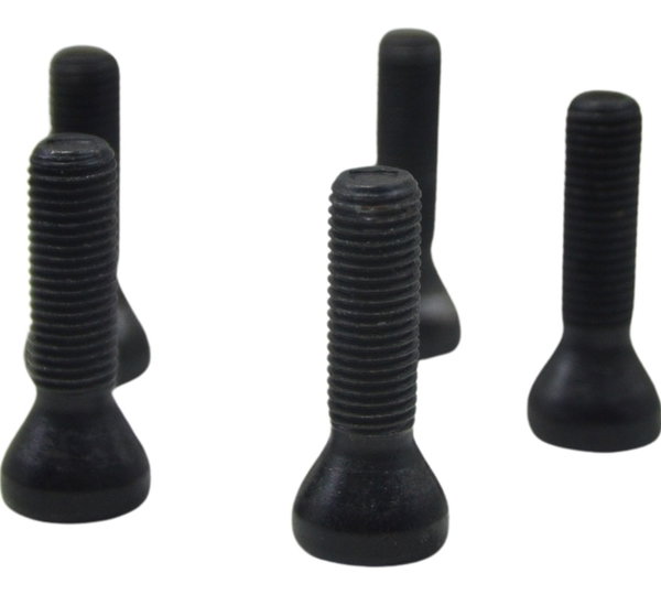 Jogo Parafuso Roda Tras Bmw R1250 R 1250 Adv 19-24 Original