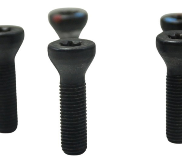 Jogo Parafuso Roda Tras Bmw R1250 R 1250 Adv 19-24 Original