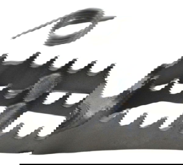 Pedaleira Dianteira Esquerda Bmw R1250 R 1250 Adv 19-24 Orig