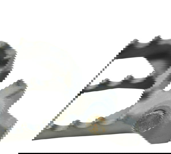 Pedaleira Dianteira Direita Bmw R1250 R 1250 Adv 19-24 Orig