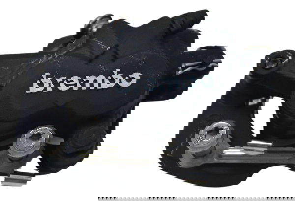 Pinça Freio Traseira Bmw R1250 R 1250 Adv 19-24 Original